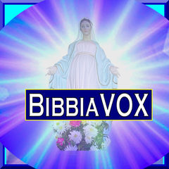 Immagine profilo di bibbiavox